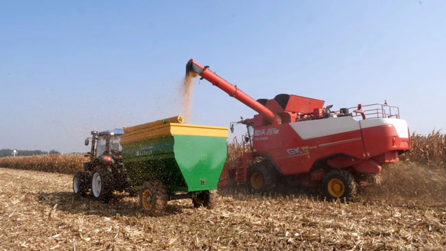 大宝娱乐-LG游戏|PT游戏|CQ9游戏