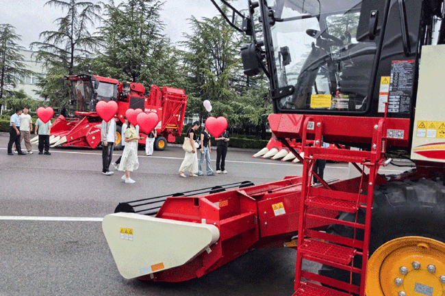 大宝娱乐-LG游戏|PT游戏|CQ9游戏